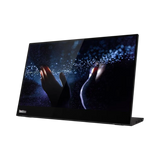 Lenovo ThinkVision M14t 14" 16:9 60Hz FHD WLED USB-C Mobile Touch Screen Monitor — Being Shipped