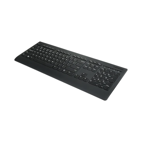 Lenovo Professional Wireless Combo Keyboard & Mouse (French Canadian 445) — Being Shipped