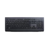 Lenovo Professional Wireless Combo Keyboard & Mouse (French Canadian 445) — Being Shipped