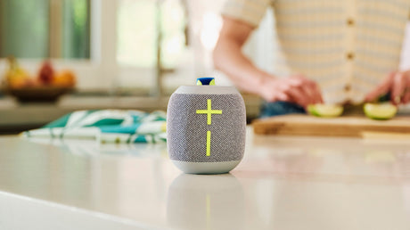 Ultimate Ears WONDERBOOM 4 Wireless Bluetooth Speaker (Gray) — Being Shipped